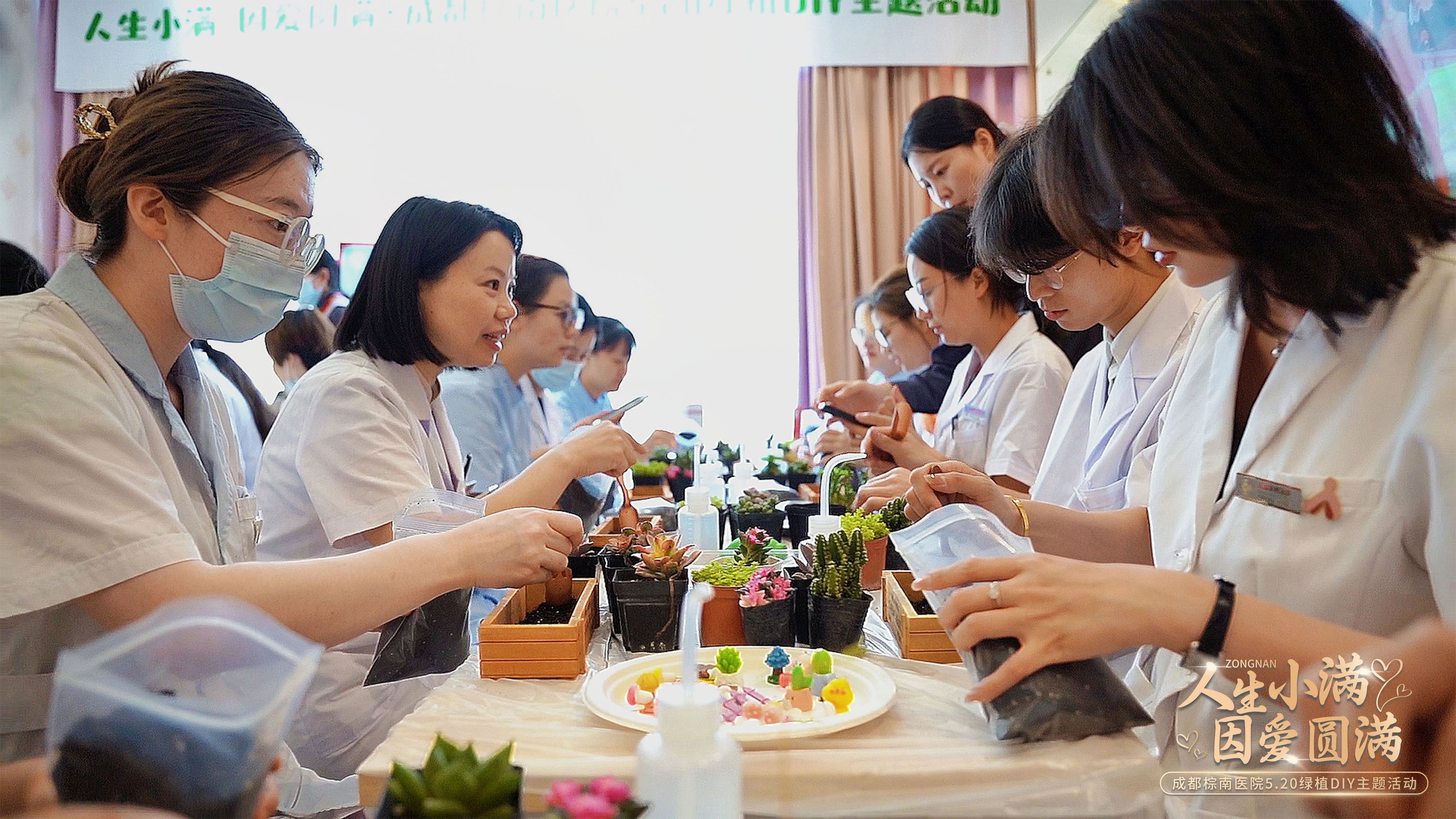 【人生小满 因爱圆满】成都棕南医院5.20绿植DIY职工主题活动-成都棕南医院_成都精神病医院